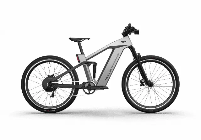 Electric Bikes