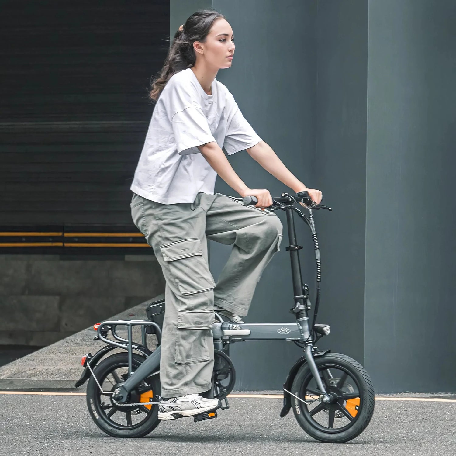 All Electric Bikes
