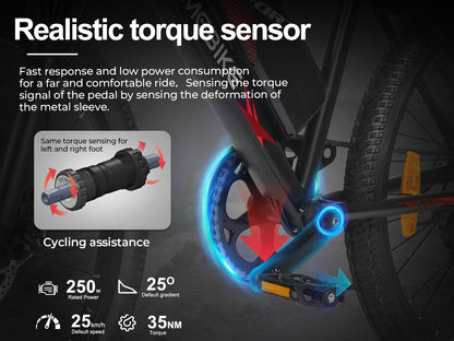SAMEBIKE EBE2 Electric Bike