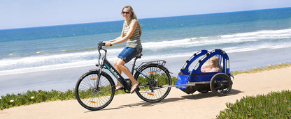VARUN S700-2 Elektrofahrrad