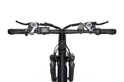 DUOTTS C29 Elektrofahrrad