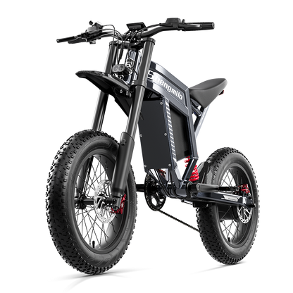 SHENGMILO S900 Electric Bike