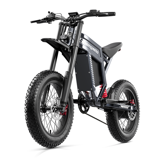 SHENGMILO S900 Electric Bike