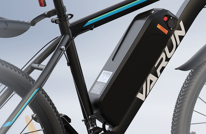 VARUN M26-2 Elektrofahrrad