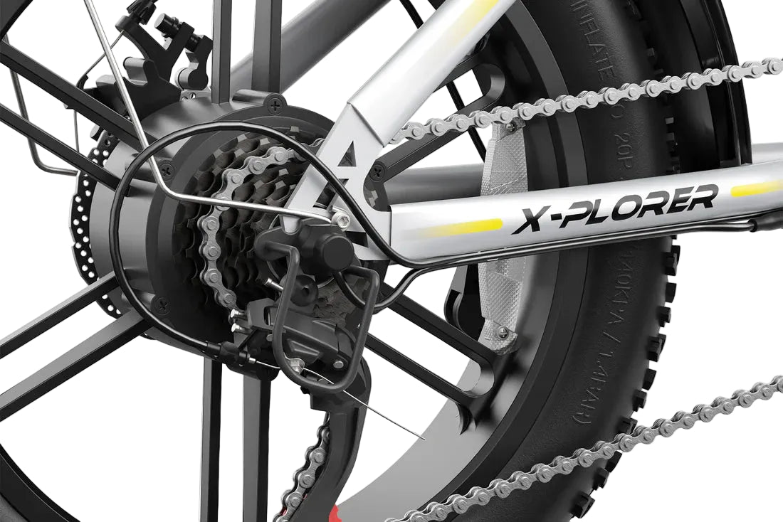 VARUN X-Plorer E-Bike