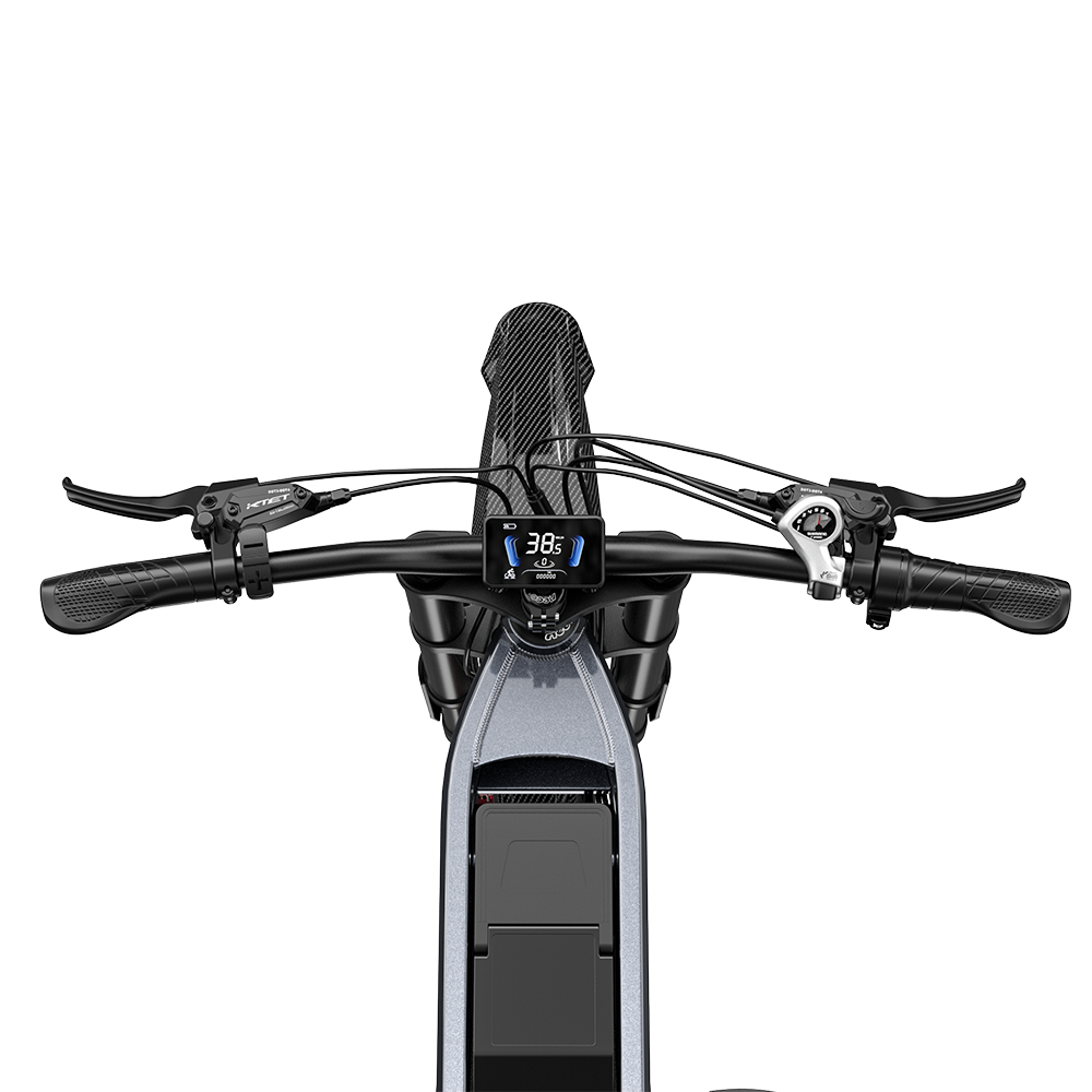 SHENGMILO S900 Electric Bike