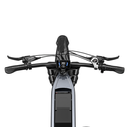 SHENGMILO S900 Electric Bike
