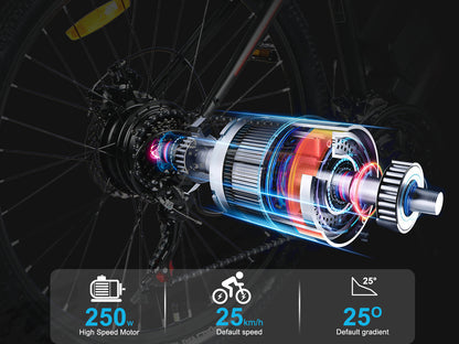 SAMEBIKE EBE2 Electric Bike