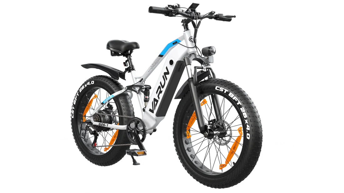 VARUN S26-1 E-Bike