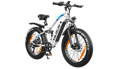 VARUN S26-1 E-Bike