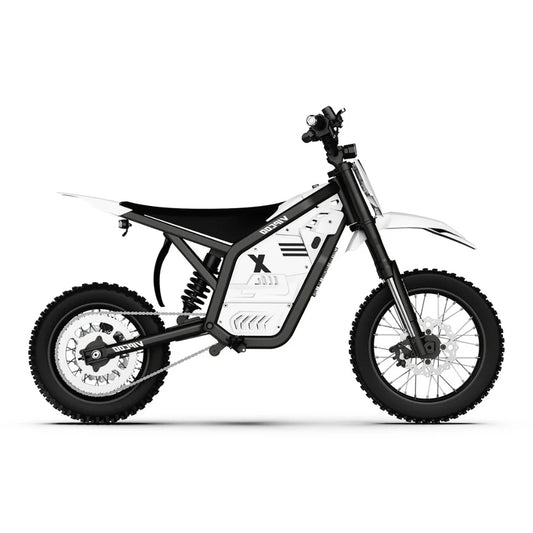 VIPCOO H2 Electric Dirt Bike