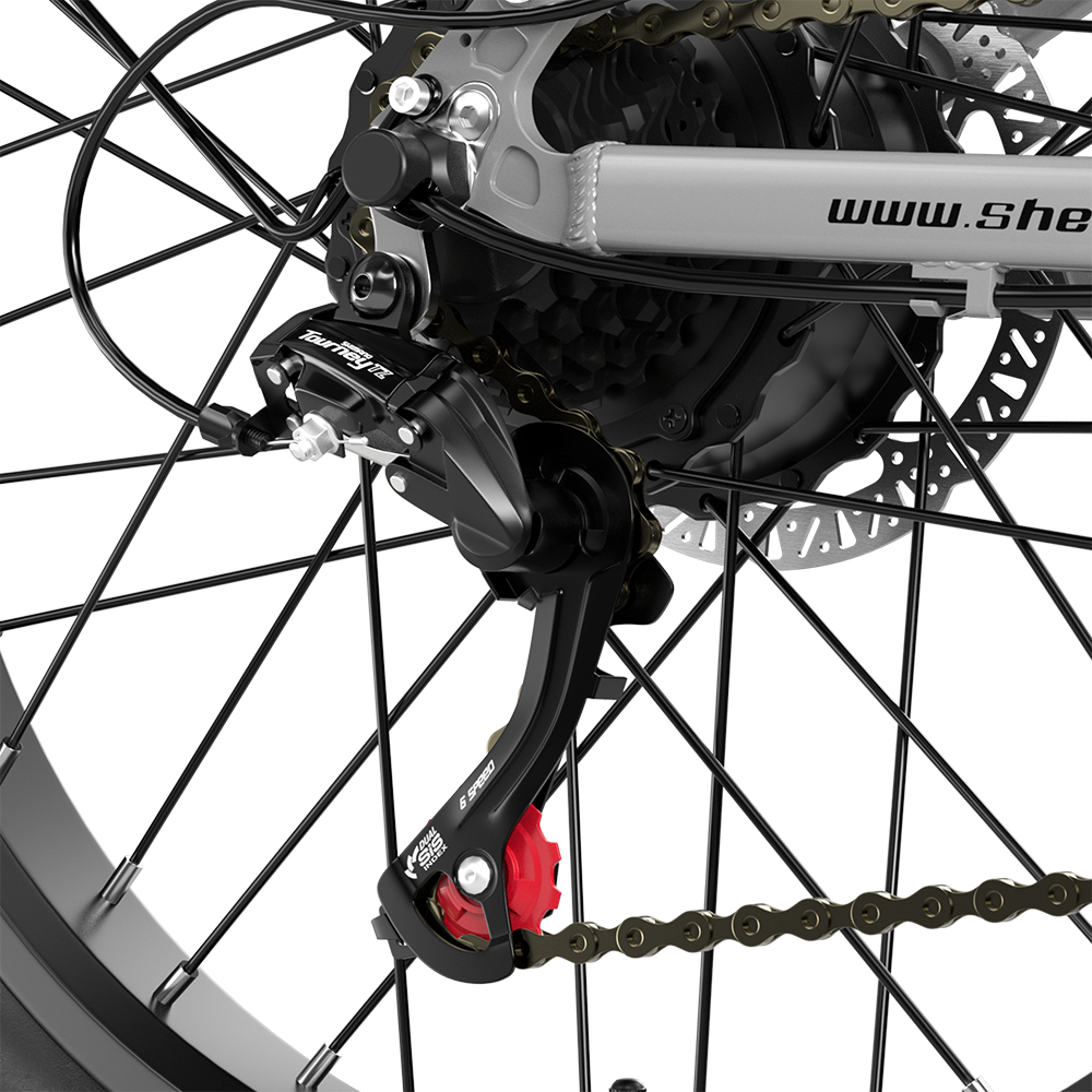 SHENGMILO S600 Electric Bike