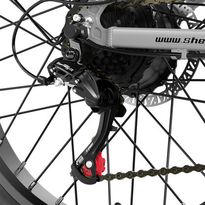 SHENGMILO S600 Electric Bike