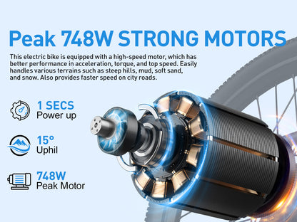 AAIRSK GT300 Electric Bike
