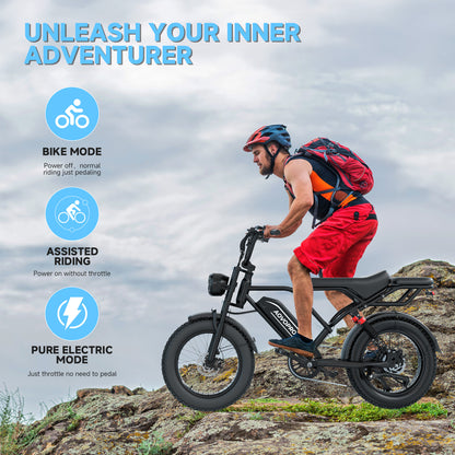 AOVO PRO AP20 Electric Bike