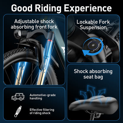 AAIRSK GT300 Electric Bike