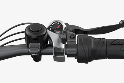 VARUN S26-1 E-Bike