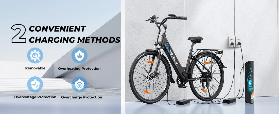 VARUN S700-2 Elektrofahrrad