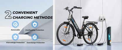 VARUN S700-2 Elektrofahrrad