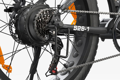 VARUN S26-1 E-Bike