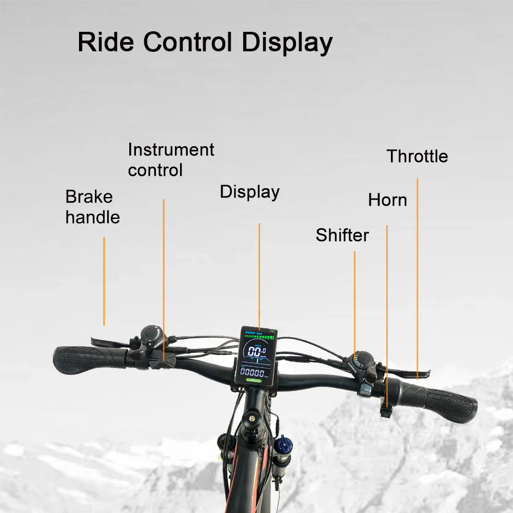 RANDRIDE YG90B Elektrisches Mountainbike