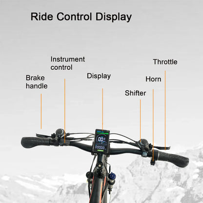RANDRIDE YG90B Elektrisches Mountainbike