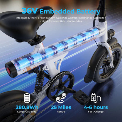 VARUN C14-1 Mini Electric Bike