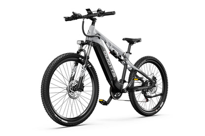 DUOTTS E29 Electric Bike (EU Version)