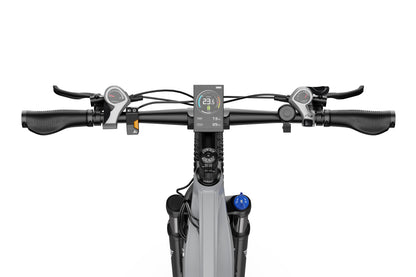 DUOTTS E29 Electric Bike (EU Version)