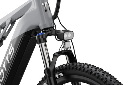 DUOTTS E29 Electric Bike (EU Version)