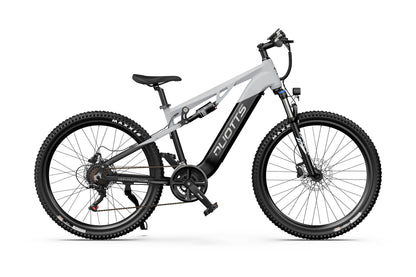 DUOTTS E29 Electric Bike (EU Version)