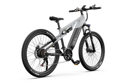 DUOTTS E29 Electric Bike (EU Version)
