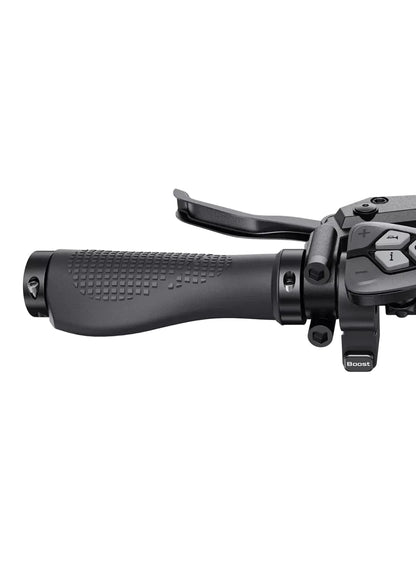 ENGWE L20 3.0 Boost Elektrofahrrad