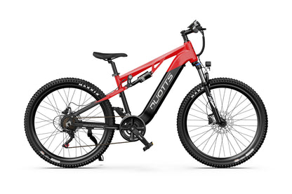 DUOTTS E29 Electric Bike (EU Version)