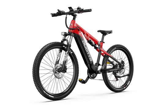 DUOTTS E29 Electric Bike (EU Version)