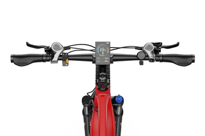 DUOTTS E29 Electric Bike (EU Version)
