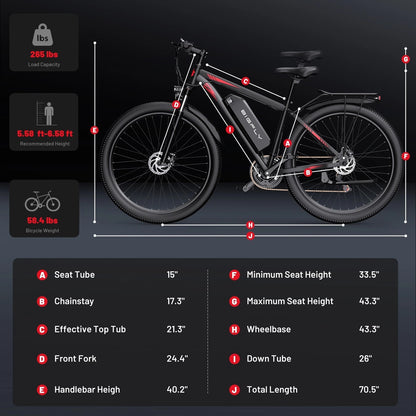 BIGFLY C29 Ultra E-Bike