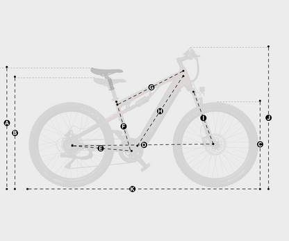 DUOTTS E29 Electric Bike (EU Version)