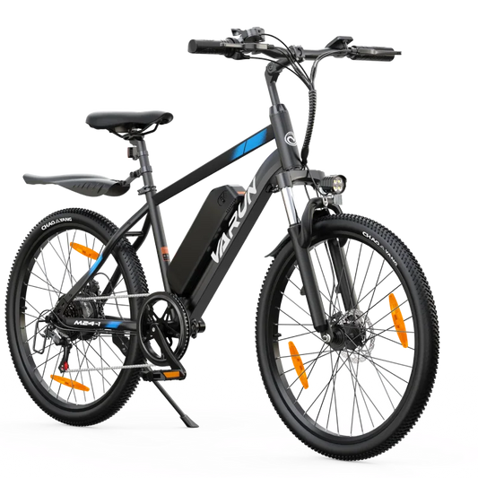 VARUN M24-1 E-Bike
