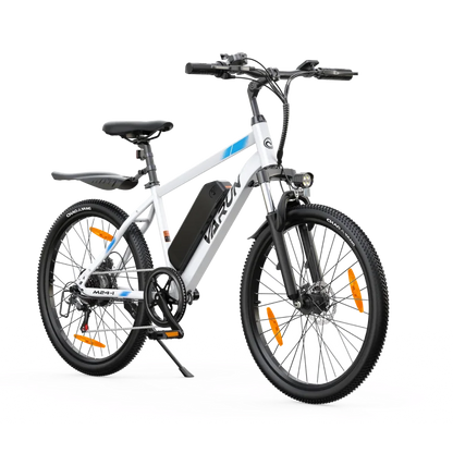 VARUN M24-1 E-Bike