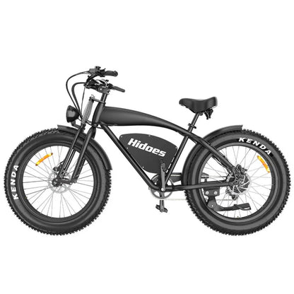 HIDOES B3 Fat Tire Elektrofahrrad