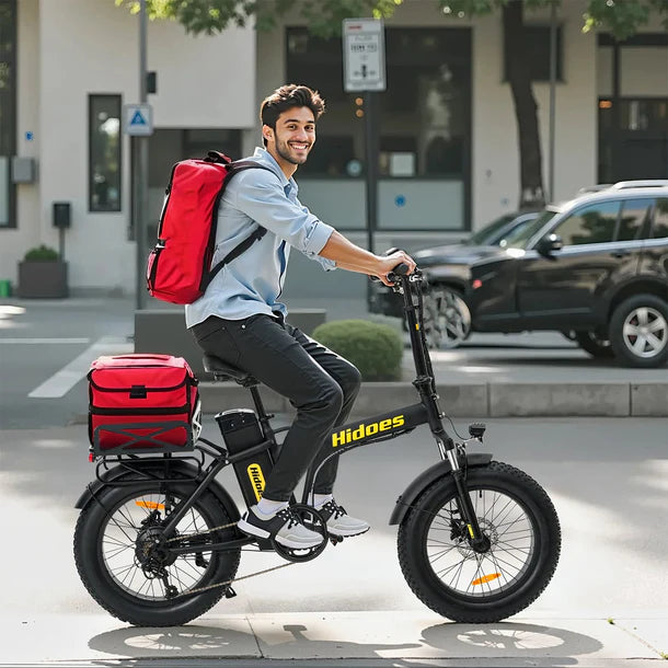 HIDOES F3 PRO Cargo E-Bike