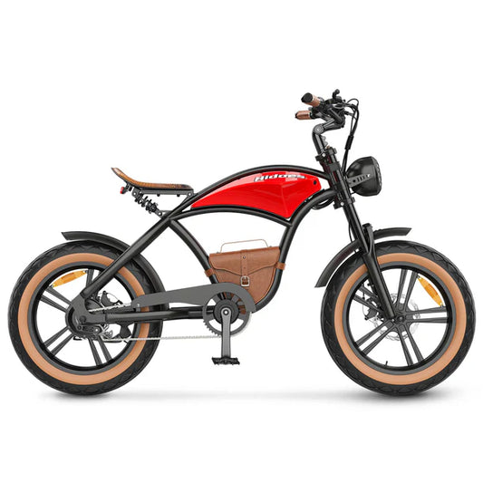 HIDOES B10 Electric Bike