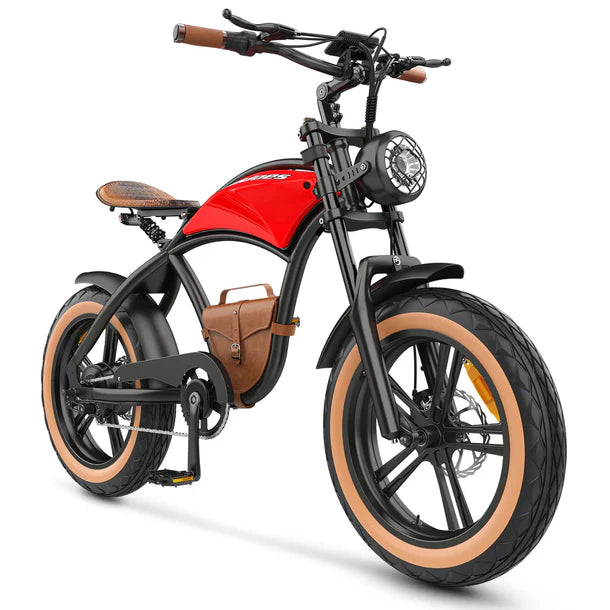 HIDOES B10 E-Bike