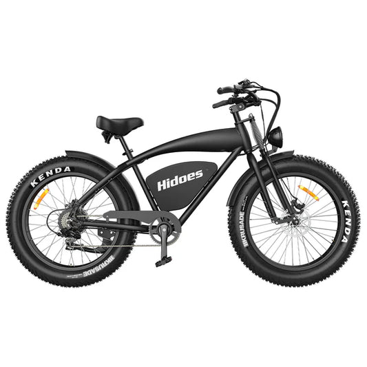 HIDOES B3 Fat Tire Electric Bike