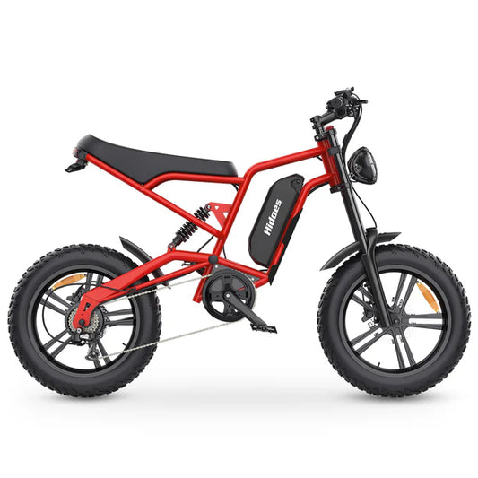HIDOES B6 Electric Bike