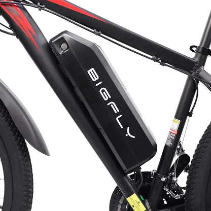 BIGFLY C29 Ultra E-Bike