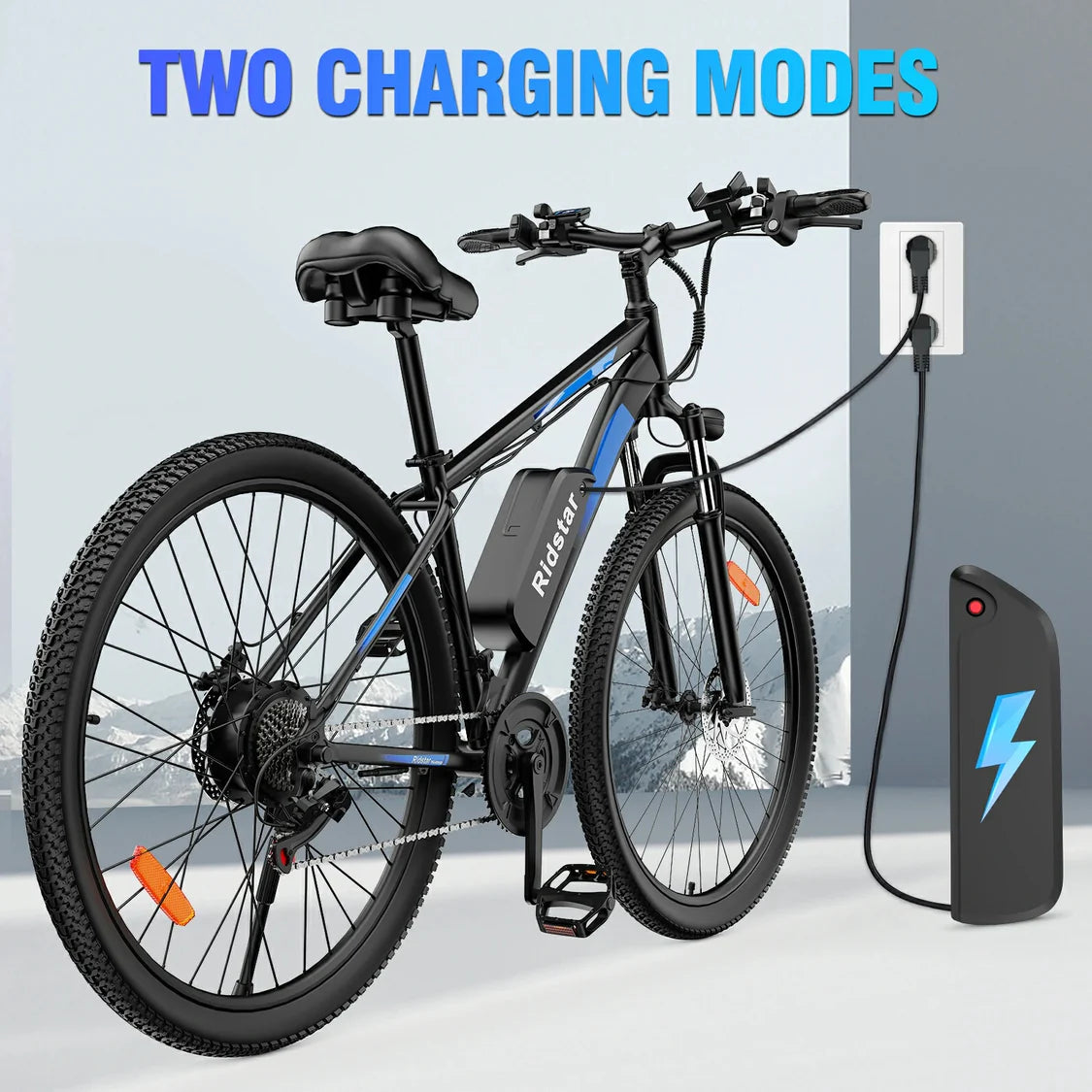 RIDSTAR S29 Pro Elektrofahrrad