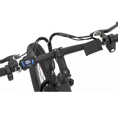 RIDSTAR S29 Pro Elektrofahrrad