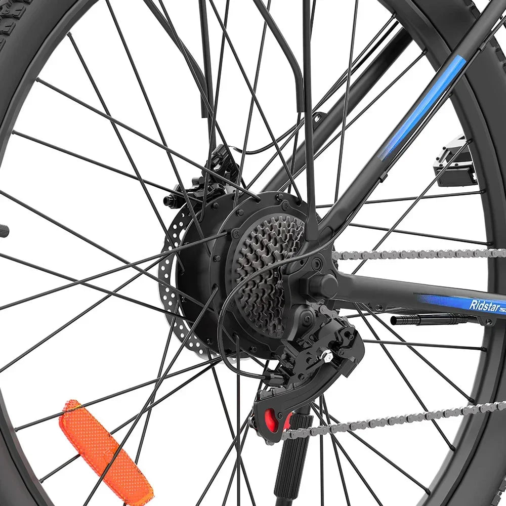 RIDSTAR S29 Pro Elektrofahrrad